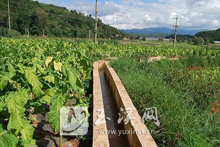 协调资金修建的桐关村茨通铺小组灌溉东大沟工程