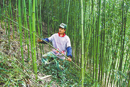 8_副本.jpg