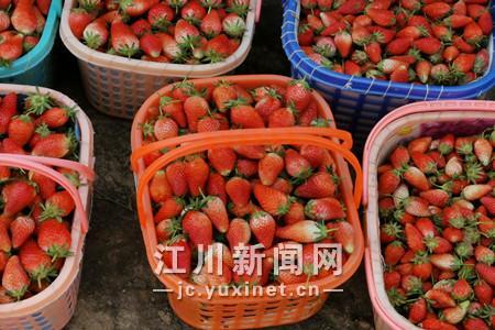 微信图片_202003241527572