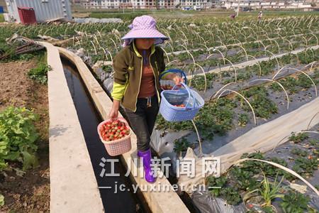 微信图片_202003241527571