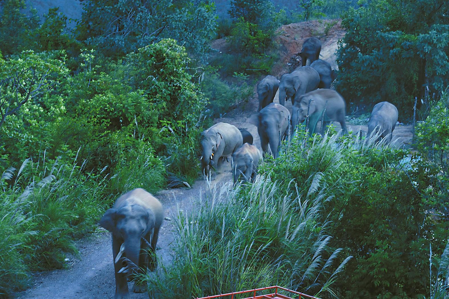 0 (1).jpg