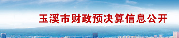 玉溪市财政预决算信息公开