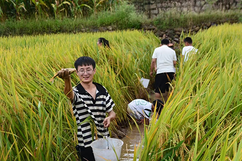 秋游绿汁，惊喜远不止稻田摸鱼峡谷骑行4.jpg