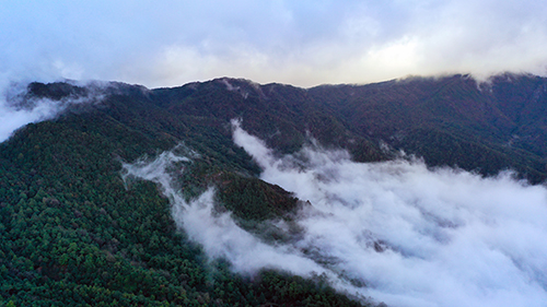 如何接住哀牢山爆火的流量4.jpg