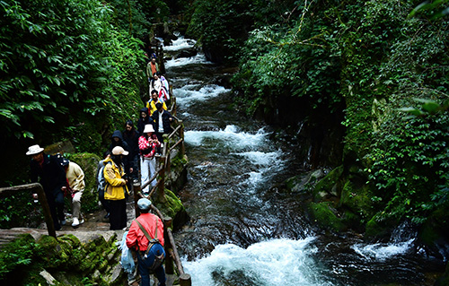 哀牢山风景区受游客青睐.jpg
