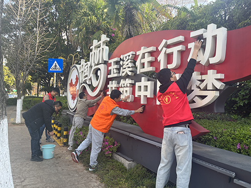 高龙潭社区开展学雷锋志愿服务活动.jpg