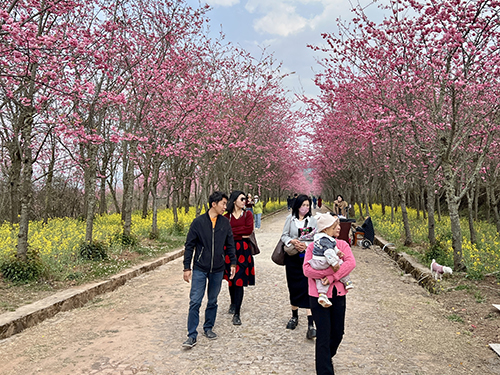 踏春赏花好时光1.jpg