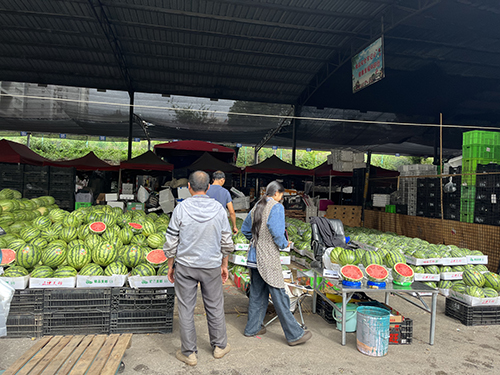 西瓜荔枝集中上市夏日“甜蜜模式”开启.jpg